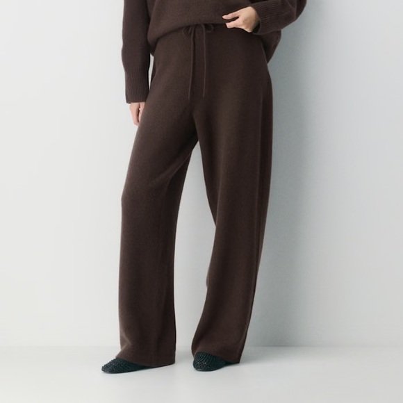 Aritzia Pants - The Group by Babaton LUXE CASHMERE WIDE PANT